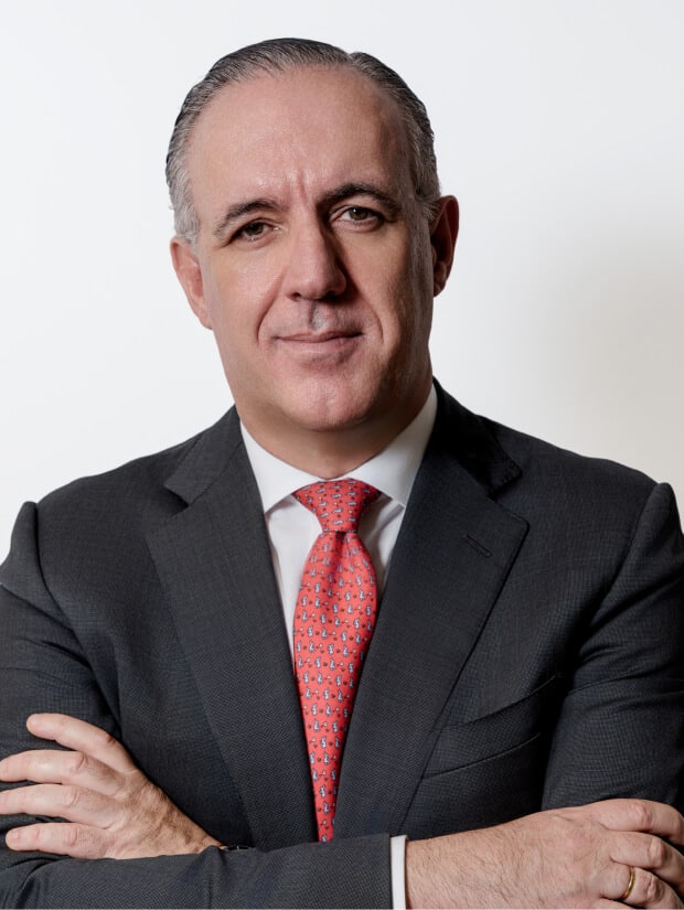 Javier de Rojas Roca de Togores