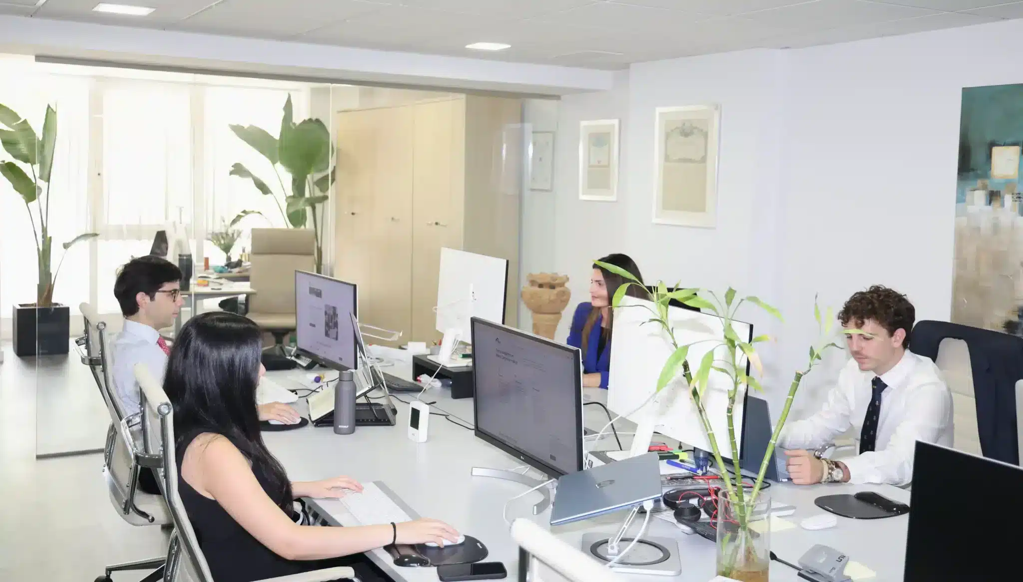 Empleo Maraz